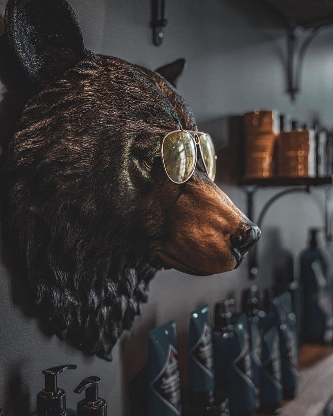 The Cave Bear mascot